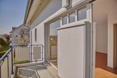 Wohnung zur Miete 260 € 1 Zimmer 37 m² 1. Geschoss Lausicker Fußweg 17 Colditz Colditz 04680