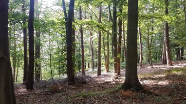 Forstwirtschaft zum Kauf Provisionsfrei 28.590 m² Grundstück Frichlkofen Gottfrieding 84177