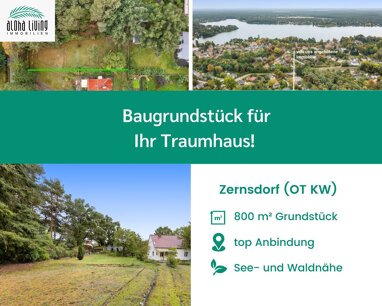 Grundstück zum Kauf 245.680 € 802 m² Grundstück Zernsdorf Königs Wusterhausen 15712