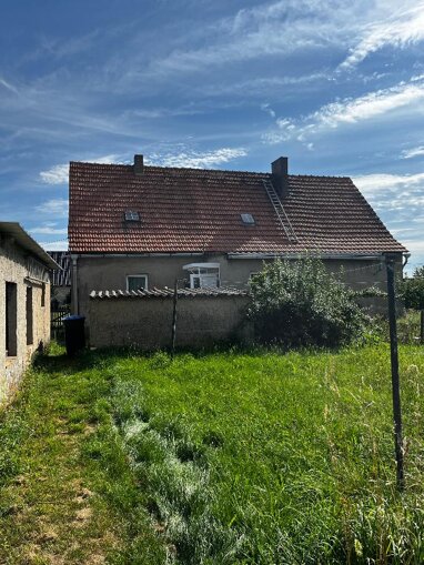 Einfamilienhaus zum Kauf 120.000 € 4 Zimmer 120 m² 2.600 m² Grundstück frei ab sofort Lutherstadt Eisleben Luth. Eisleben 06295