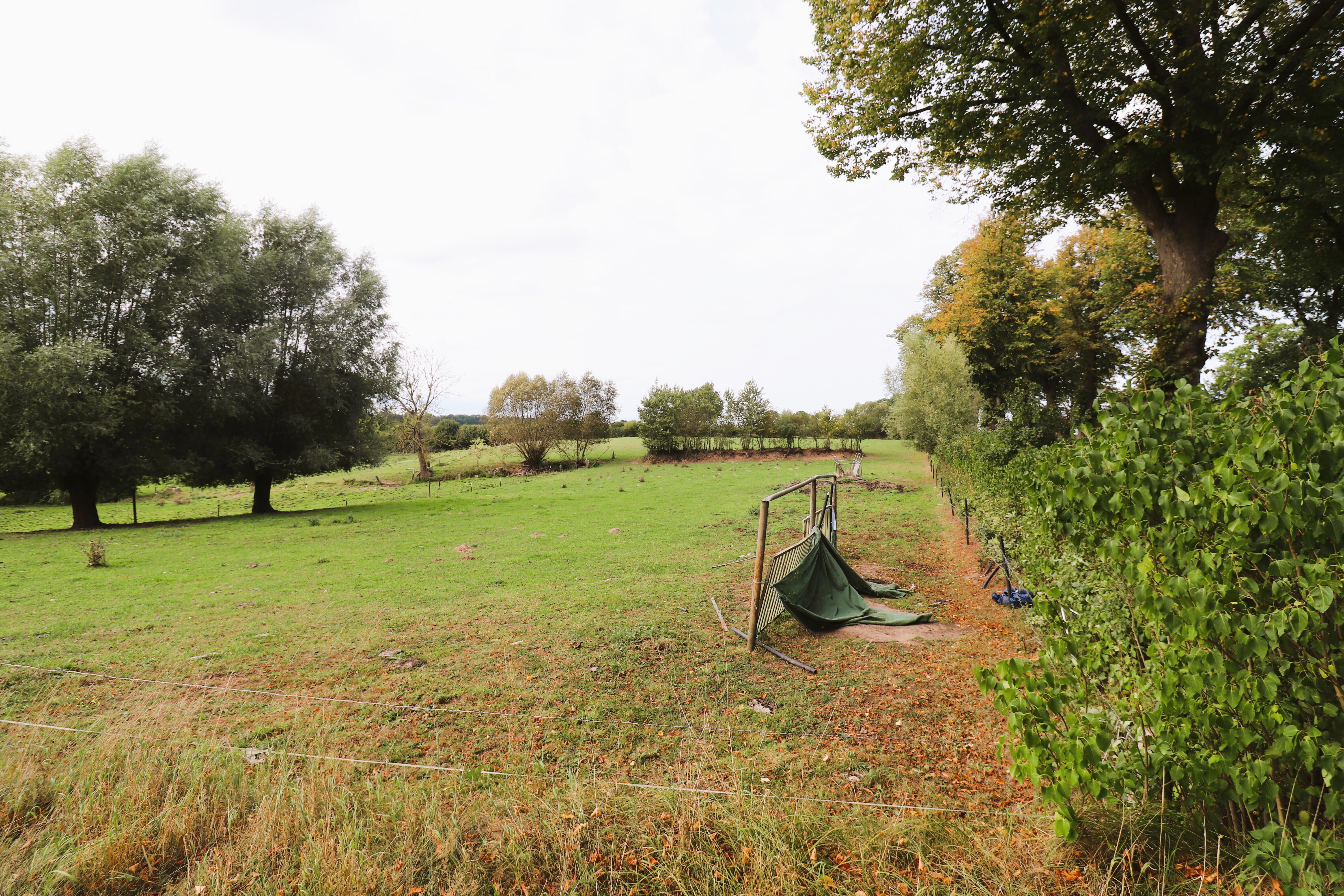 Bauernhof zum Kauf 820.000 € 55.000 m²<br/>Grundstück Bargteheide 22941