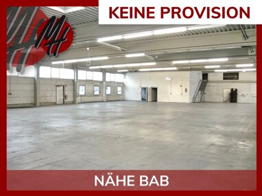 Lagerhalle zur Miete Provisionsfrei 4,50 € 1.100 m² Lagerfläche Großauheim Hanau 63457