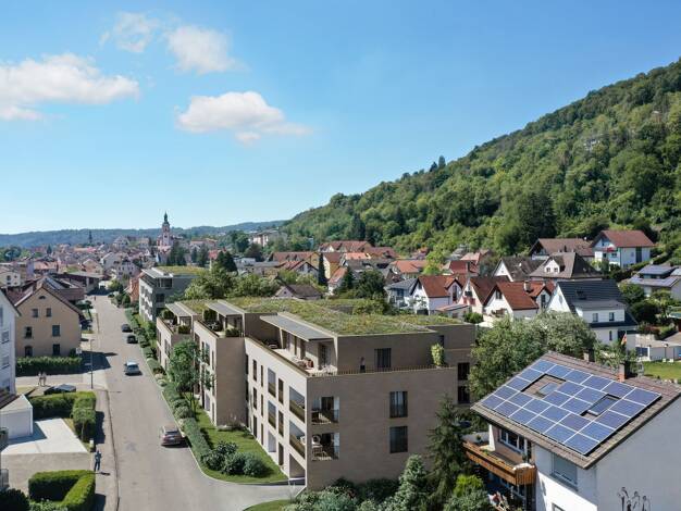 Neubauprojekt zum Kauf Breitenfelder Straße Tiengen Waldshut-Tiengen 79761
