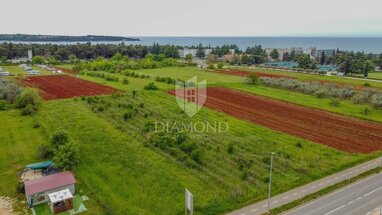 Land-/Forstwirtschaft zum Kauf 728.000 € Novigrad 52466