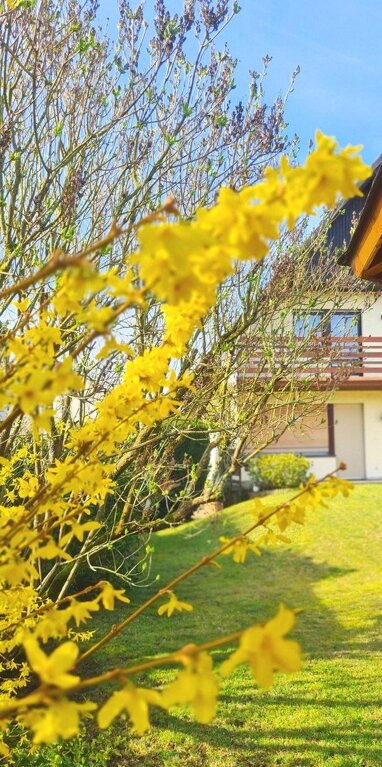 Einfamilienhaus zum Kauf Provisionsfrei 525.000 € 4 Zimmer 123 m² 600 m² Grundstück Urberach mit Bulau Rödermark 63322
