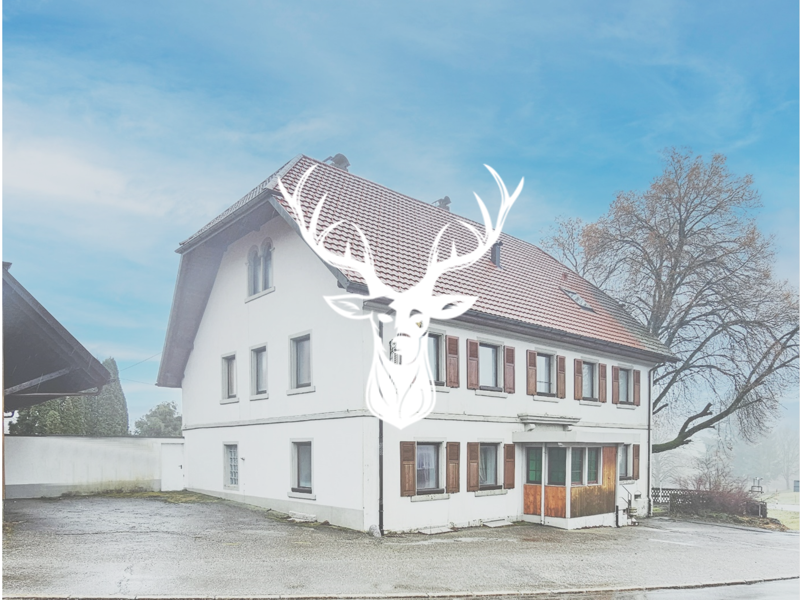 Mehrfamilienhaus zum Kauf 599.000 € 450 m² 3.600 m² Grundstück Willaringen Rickenbach 79736