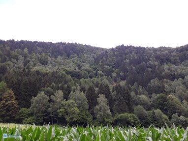Forstwirtschaft zum Kauf 128.000 m² Grundstück Radenthein 9873