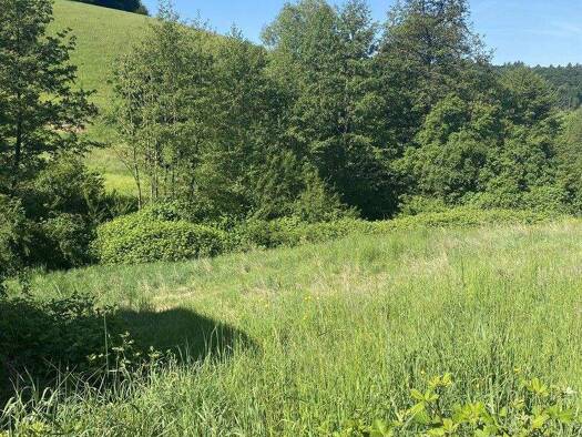 Grundstück zum Kauf provisionsfrei 199.500 € 632 m² Grundstück Unter-Flockenbach Gorxheimertal 69517