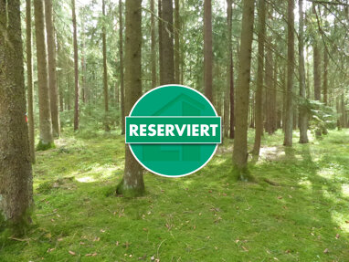 Land-/Forstwirtschaft zum Kauf 50.000 € 10.292 m² Grundstück Pilsach Pilsach / Litzlohe 92367