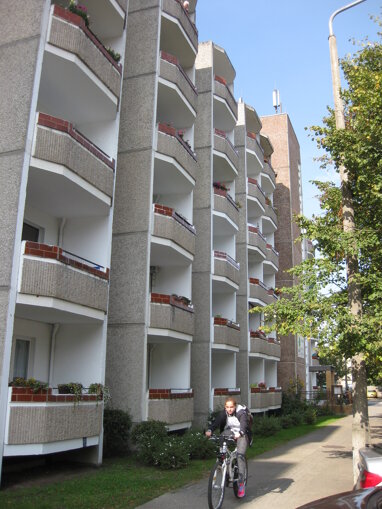 Wohnung zur Miete 230,69 € 1 Zimmer 35,5 m² 1. Geschoss Lindenstraße 17 Anklam Anklam 17389