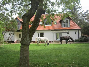 Einfamilienhaus zum Kauf Provisionsfrei 469.000 € 10 Zimmer 300 m² 7.500 m² Grundstück Schwarzenborn Schwarzenborn 34639