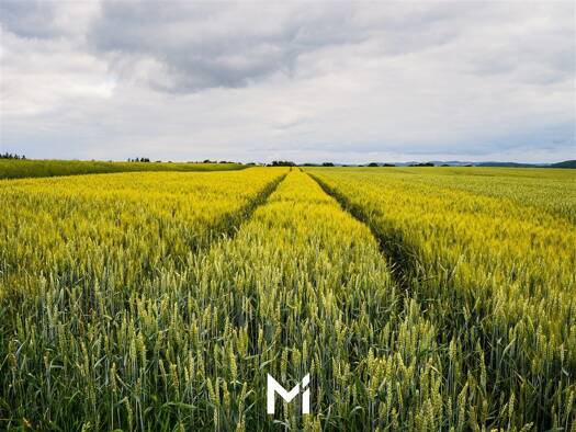 Landwirtschaftliche Fläche zum Kauf 13.256 m² Grundstück Landesbergen 31628