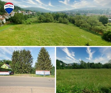 Grundstück zum Kauf 150.000 € 2.224 m² Grundstück Calmesweiler Eppelborn 66571