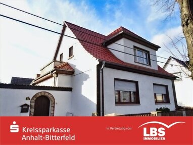 Einfamilienhaus zum Kauf 69.000 € 5 Zimmer 100 m² 1.012 m² Grundstück Reinsdorf Görzig 06369