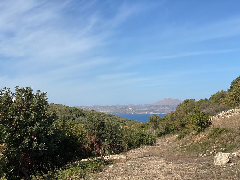 Land-/Forstwirtschaft zum Kauf 195.000 € 3.033 m² Grundstück Kreta