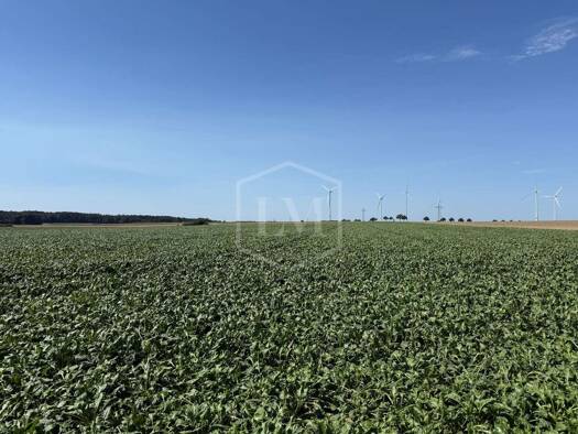 Landwirtschaftliche Fläche zum Kauf 3.520.000 € 585.570 m² Grundstück Rümmer Groß Twülpstedt 38464