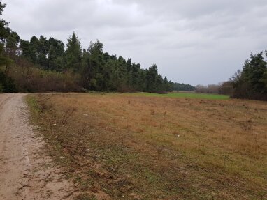 Land-/Forstwirtschaft zum Kauf 140.000 € 10.375 m² Grundstück Chalkidiki