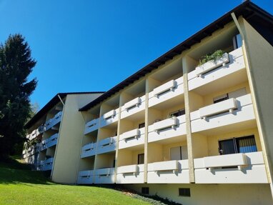 Apartment zur Miete 345 € 1 Zimmer 36 m² Göttweiger Str. 91 Innstadt Passau 94032