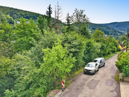 Grundstück zum Kauf 45.000 € 658 m² Grundstück Schönau 69250