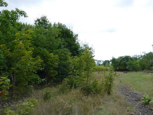 Grundstück zum Kauf 700.000 € 20.727 m² Grundstück frei ab sofort Rudolf-Tarnow-Straße 0 Ludwigslust 19288