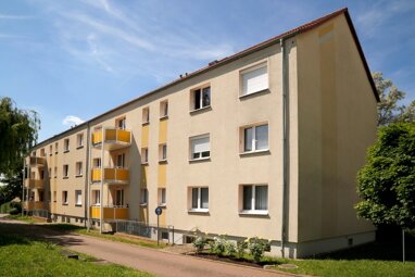 Wohnung zur Miete 318,50 € 2 Zimmer 49 m² 1. Geschoss Rheinstr. 9 Merseburg Merseburg 06217