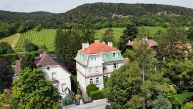 Mehrfamilienhaus zum Kauf 2.599.000 € 374 m² 1.217 m² Grundstück Doktor-Ludwig-Rieger-Straße Mödling 2340