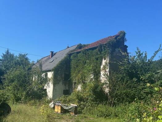 Grundstück zum Kauf 130.000 € 2.500 m² Grundstück Büschfeld Wadern 66687