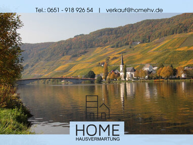 Haus zum Kauf 1.950.000 € 25 Zimmer 5.000 m² Grundstück Wittlich Wittlich 54516