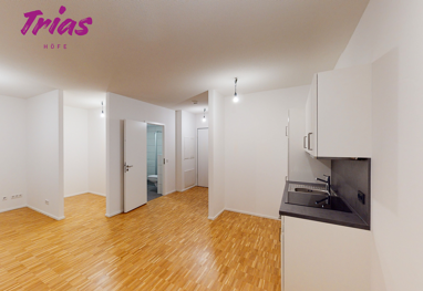 Wohnung zur Miete 705 € 1 Zimmer 40,9 m² 1. Geschoss Walter-Hallstein-Straße 18a Weisenau Mainz 55130