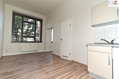 Wohnung zur Miete 360 € 1 Zimmer 24,7 m² August- Bebel- Str. 17 Strehlen (August-Bebel-Str.) Dresden 01219