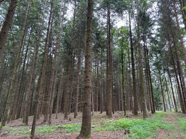Forstwirtschaft zum Kauf 885.555 € 210.850 m² Grundstück Kalham Egglham 84385