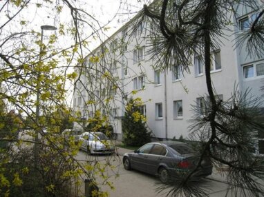 Wohnung zur Miete 360 € 3 Zimmer 59 m² 2. Geschoss Straße der MTS 19 Kemberg Kemberg 06901