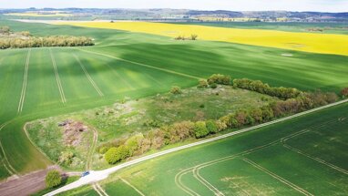 Land-/Forstwirtschaft zum Kauf 6.000 € 16.023 m² Grundstück Gemarkung Hansfelde, Flur 1, Flurstück 2 Wismar Uckerland 17337