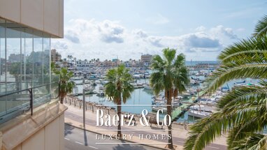 Studio zum Kauf 1.470.000 € 236 m² palma