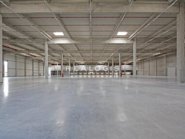 Halle/Industriefläche zur Miete 10.394 m² Lagerfläche Titz Titz 52445