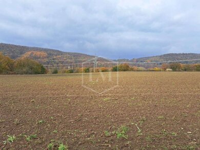 Landwirtschaftliche Fläche zum Kauf 62.000 € 12.542 m² Grundstück Mittelstadt Hagen 58095