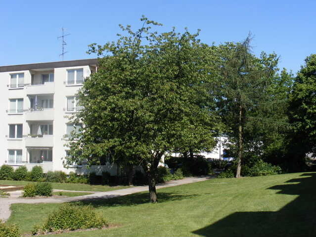 Wohnung zur Miete 509 € 3 Zimmer 71 m²<br/>Wohnfläche 2. Stock<br/>Geschoss Von-Stauffenberg-Straße 2 Oerlinghausen Oerlinghausen 33813