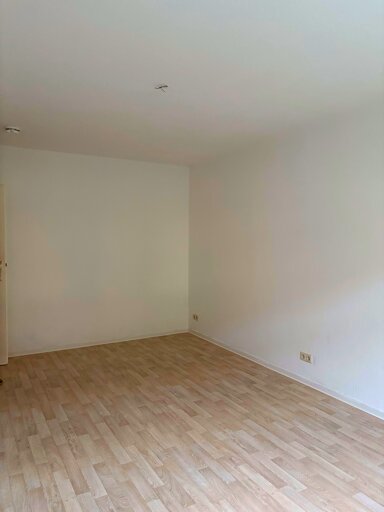 Wohnung zur Miete 270 € 1 Zimmer 38,1 m² EG frei ab sofort Postweg 21 Pirna Pirna 01796