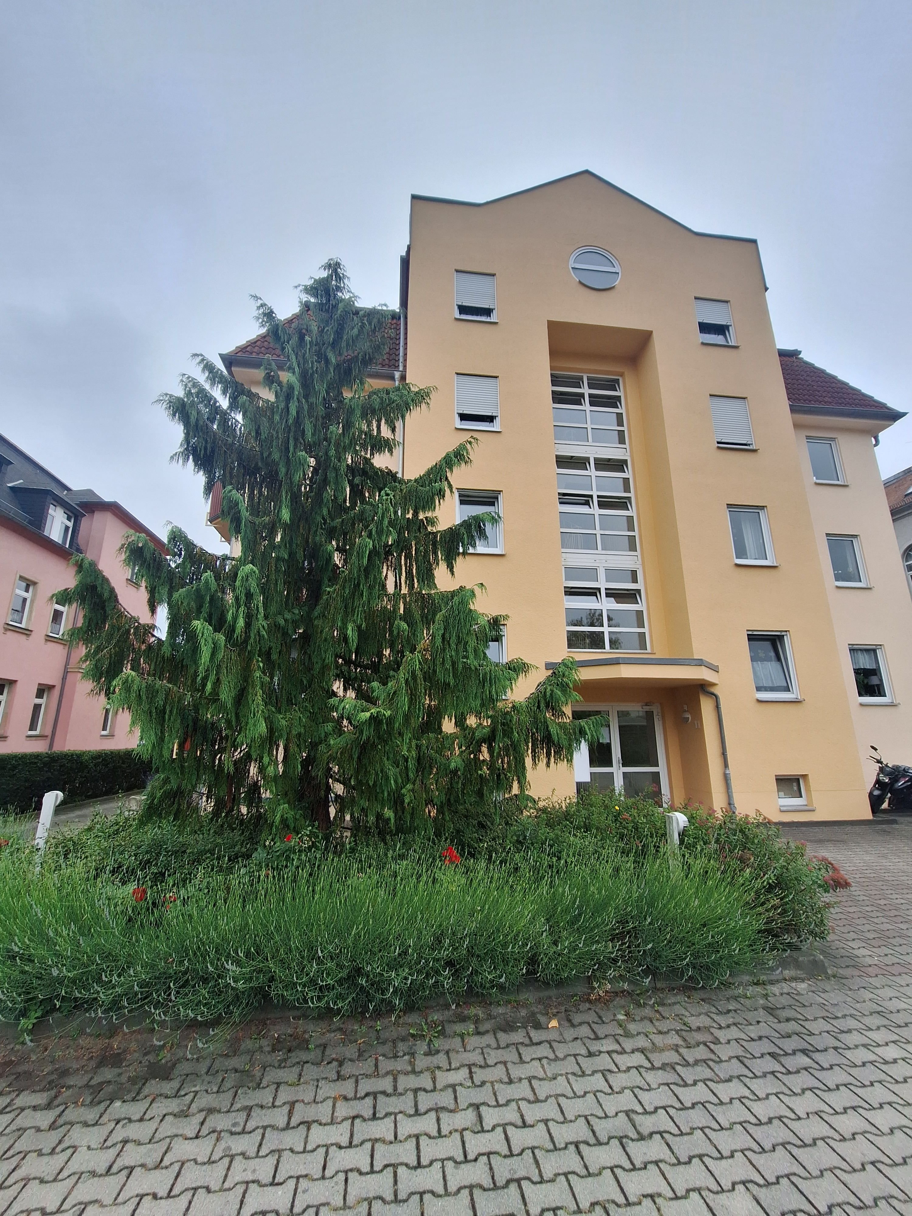Wohnung zur Miete 590 € 3 Zimmer 65,5 m²<br/>Wohnfläche Ab sofort<br/>Verfügbarkeit Haeckelstraße 11 Heidenau 01809