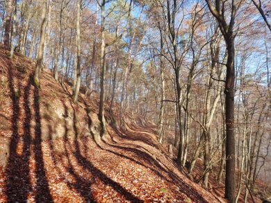 Forstwirtschaft zum Kauf 6.200 € 1.820 m² 1.820 m² Grundstück Collenberg Collenberg 97903