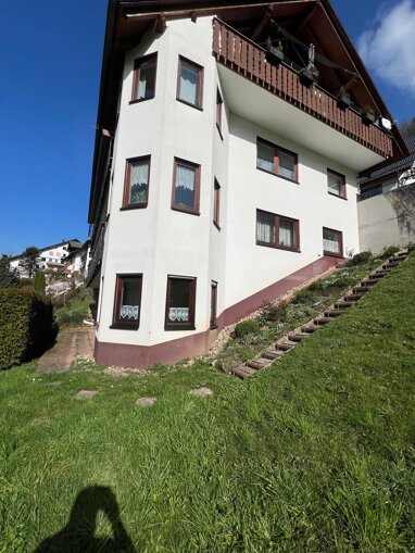 Apartment zum Kauf Provisionsfrei 160.000 € 2 Zimmer 64 m² Erdgeschoss Ibach Oppenau 77728