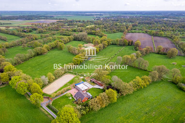 Einfamilienhaus zum Kauf 645.000 € 5 Zimmer 264 m² 30.400 m² Grundstück Collinghorst Rhauderfehn / Collinghorst 26817