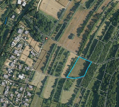 Grundstück zum Kauf Provisionsfrei 300.000 € 4.840 m² Grundstück Obere-Bayerische-Gasse Ebermannstadt Ebermannstadt 91320