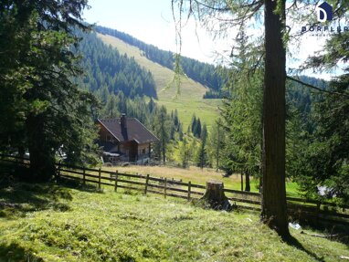 Land-/Forstwirtschaft zum Kauf 550.000 € 47.422 m² Grundstück Hochrindl-Alpl 9571