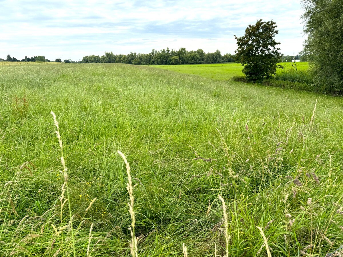 Landwirtschaftliche Fläche zum Kauf 340.000 € 48.533 m²<br/>Fläche 48.533 m²<br/>Grundstück Bylerward Kalkar 47546