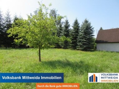 Grundstück zum Kauf 43.000 € 748 m² Grundstück Beerwalde Erlau 09306