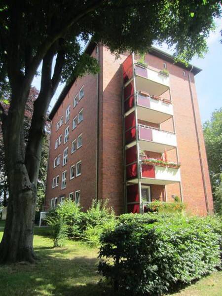 Wohnung zur Miete