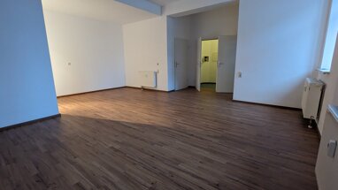 Wohnung zur Miete 235 € 1 Zimmer 49,2 m² Erdgeschoss Reichenbach Reichenbach 08468