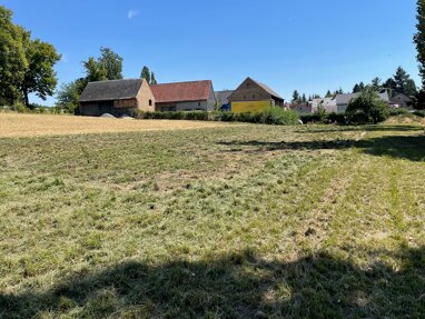Bauernhof zum Kauf 249.000 € 14.260 m² Grundstück Langenleuba-Oberhain Penig 09322
