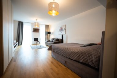 Wohnung zur Miete Wohnen auf Zeit 1.892 € 1 Zimmer 50 m² frei ab 31.12.2024 Wien 1080